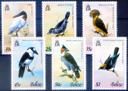 Fauna. Uccelli 1980. - Belize (1973-...)