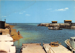 33-GUJAN-MESTRAS-N°T264-C/0015 - Gujan-Mestras