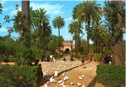 Beautiful Vintage Postcard SEVILLA – Parque De María Luisa, No. 126, Published By Mini Ediciones David - Sevilla