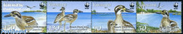Vanuatu 2009 WWF, Beach Thick-knee 4v [:::] Or [+], Mint NH, Nature - Birds - World Wildlife Fund (WWF) - Vanuatu (1980-...)
