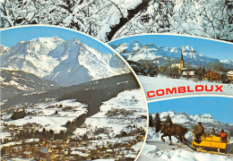 74-COMBLOUX-N°T270-D/0229 - Combloux