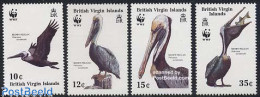 Virgin Islands 1988 WWF, Birds 4v, Mint NH, Nature - Birds - World Wildlife Fund (WWF) - Iles Vièrges Britanniques