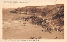 22-PLESTIN LES GREVES-N°T285-D/0083 - Plestin-les-Greves