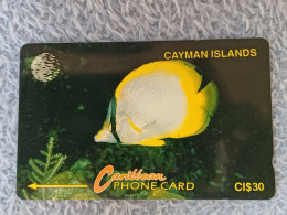 CAYMAN ISLANDS - 5CCIB - Yellow Fish - 9.905EX. - Cayman Islands