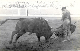 CORRIDA DE TOROS  / CARTE PHOTOGRAPHIE REELLE < MORENITO DE TALAVERA "DERECHAZO" - Corrida