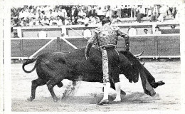 CORRIDA DE TOROS  / CARTE PHOTOGRAPHIE REELLE < PASSE DU TOREADOR DOMINGO ORTEGA - Corrida