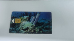 ANTILLES-(NETERLANDS)-(AN-BON-TBO-0004A)-Coral Reefs (Black Chip)-(7)(60unis)(00025077)-good Card - Antillas (Nerlandesas)