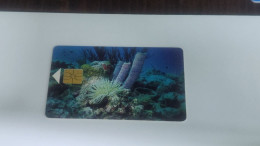 ANTILLES-(NETERLANDS)-(AN-BON-TBO-0004B)-Coral Reefs (Black Chip)-(9)(60unis)(00037530)-good Card - Antillas (Nerlandesas)