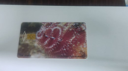 ANTILLES-(NETERLANDS)-(AN-BON-TBO-0011A)-Christmas Tree Worms-(16)(120unis)(043172)-(1/00)-good Card - Antillas (Nerlandesas)