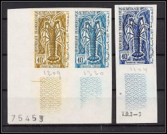 94021c Y&t N°181 Palinurus Regius Langouste Lobster 1964 Mauritanie Essai Proof Non Dentelé Imperf ** MNH 3 Couleurs - Crustacés