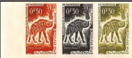 94001 Y&t N°165 Hyena Hyène Animaux Animals 1963 Mauritanie Essai Proof Non Dentelé Imperf Bande De 3** MNH - Félins
