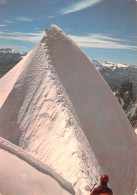 ID-PAYSAGE A IDENTIFIER-N° 4418-B/0103 - To Identify