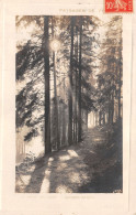 TH-PAYSAGE A IDENTIFIER -N°C-4372-G/0279 - To Identify