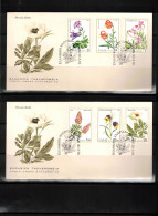 Greece 1978 Flowers FDC - FDC