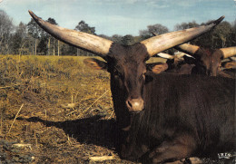 78-THOIRY-N° 4438-A/0337 - Thoiry