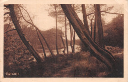 40-MIMIZAN PLAGE-N° 4439-E/0215 - Mimizan