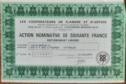 Les Cooperateurs De Flandre Et D'Artois - Action Nominative De 60 Francs - 1974 - Coudekerque-Branche (Nord) - Other & Unclassified