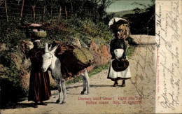 CPA Panama, Donkey Want Water, Native Scene - Panama