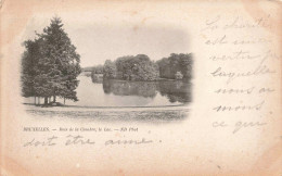 BELGIQUE - Bruxelles - Bois De La Cambre, Le Lac - ND Phot - Carte Postale Ancienne - Places, Squares