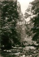 Thale Harz Goethefelsen Im Bodetal Natur - Thale
