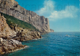 Delcampe - CARTOLINA  BAUNEI-MONTE SANTO NUORO SARDEGNA PITTORESCA VIAGGIATA 1974   X25 - Nuoro