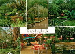 Walsrode Lueneburger Heide Vogelpark Paradieshalle - Walsrode