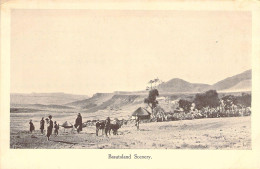 LESOTHO - Basutoland Scenery - Carte Postale Ancienne - Lesotho