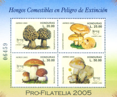 UPAEP. Funghi 2005. - Honduras