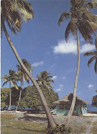 X123503 OCEANIE POLYNESIE FRANCAISE TAHITI RANGIROA MAISON DU VILLAGE DE TIPUTA - Tahiti