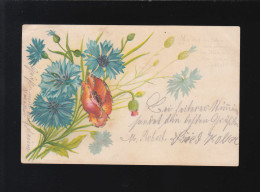 Mög Dich Das Leben Stets Erfreu'n, Strauß Blaue Nelken Und Roter Mohn, Gelaufen - Hold To Light