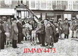 CPM - Le Pesage Des Veaux 1915 - Il était Une Fois L'Auvergne Et Les Cévennes - Edit. ARSENE Et DEMO - Kirmes