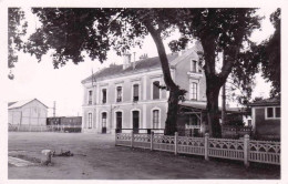 86 - Vienne -  VIVONNE -  La Gare - Vivonne