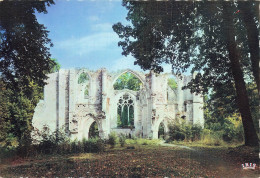 77 DAMMARIE LES LYS LES RUINES DE L ABBAYE ROYALE DU LYS - Dammarie Les Lys