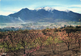 66 PRADES MASSIF DU CANIGOU - Prades