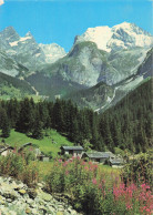 73 MODANE PARC DE LA VANOISE - Modane