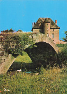 42 CHARLIEU PONT DU DIABLE ET LE CHATEAU DE TIGNY - Charlieu