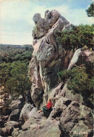 77 LARCHANT LA DAME JOUANNE - Larchant