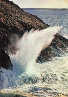 53 EVRON PLAGE - Evron