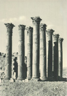 JORDANIE JERASH LES COLONNES - Jordan