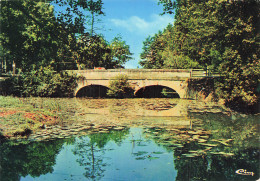 58 GUERIGNY LE VIEUX PONT SUR LE BIEF - Guerigny