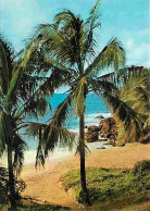 Antilles - Plage Sauvage - Carte Neuve - CPM - Voir Scans Recto-Verso - Sonstige & Ohne Zuordnung