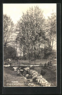 AK Apolda, Eingang Zur Schötener Promenade - Apolda