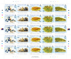 The Remote Island 2005. - Tristan Da Cunha