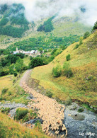 4 BARCELONNETTE VALLEE DU CHAMPSAUR - Barcelonnette