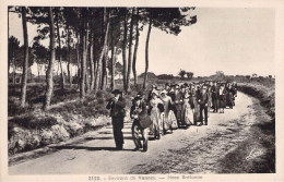 CPA - 56 - NOCE BRETONNE - Environs De Vannes - Laurent Nel RENNES - Marriages