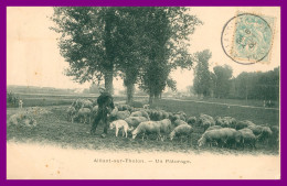* AILLANT SUR THOLON - UN PÂTURAGE - BERGER - MOUTONS - ANIMÉE - EDIT BREGER - 1906 - Aillant Sur Tholon