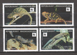 Madagascar 1999 Mi 2313-2316 MNH WWF - CHAMELEON - Ongebruikt