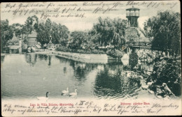 CPA Villa Dolores Montevideo Uruguay, Lago, Schwäne, Aussichtsturm - Uruguay
