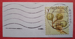 Belgique COB N°5020 Tilleul Commun Oblit. Gent X Sur Fragment - Oblitérés