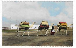 CPSM CARAVANE, Format 9 Cm Sur 14 Cm Environ, DJIBOUTI - Djibouti